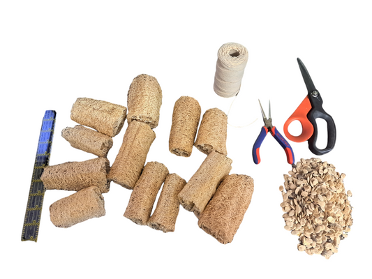 What are Loofah sponges?