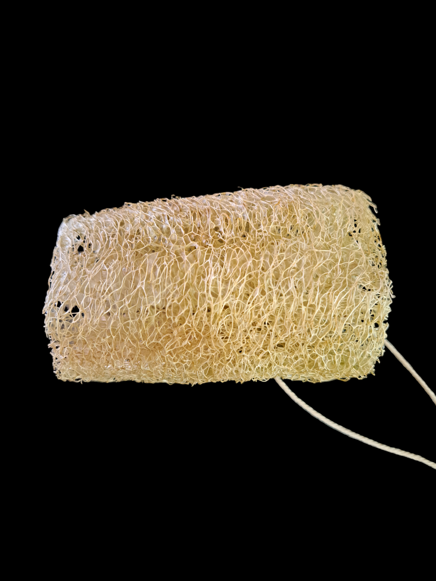 Natural Loofah Sponges