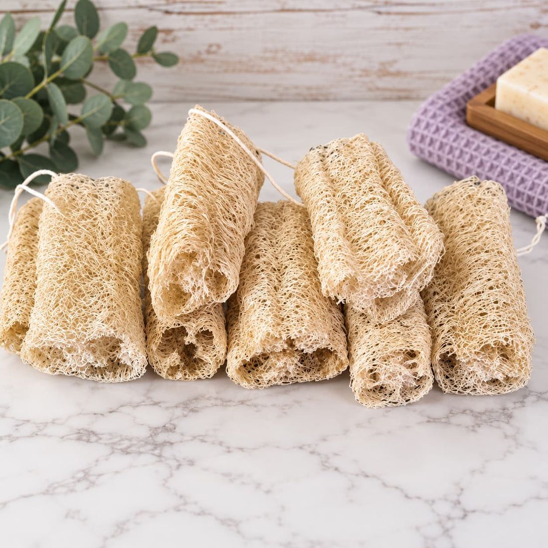 Natural Loofah Sponges