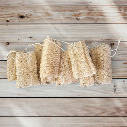 Natural Loofah Sponges