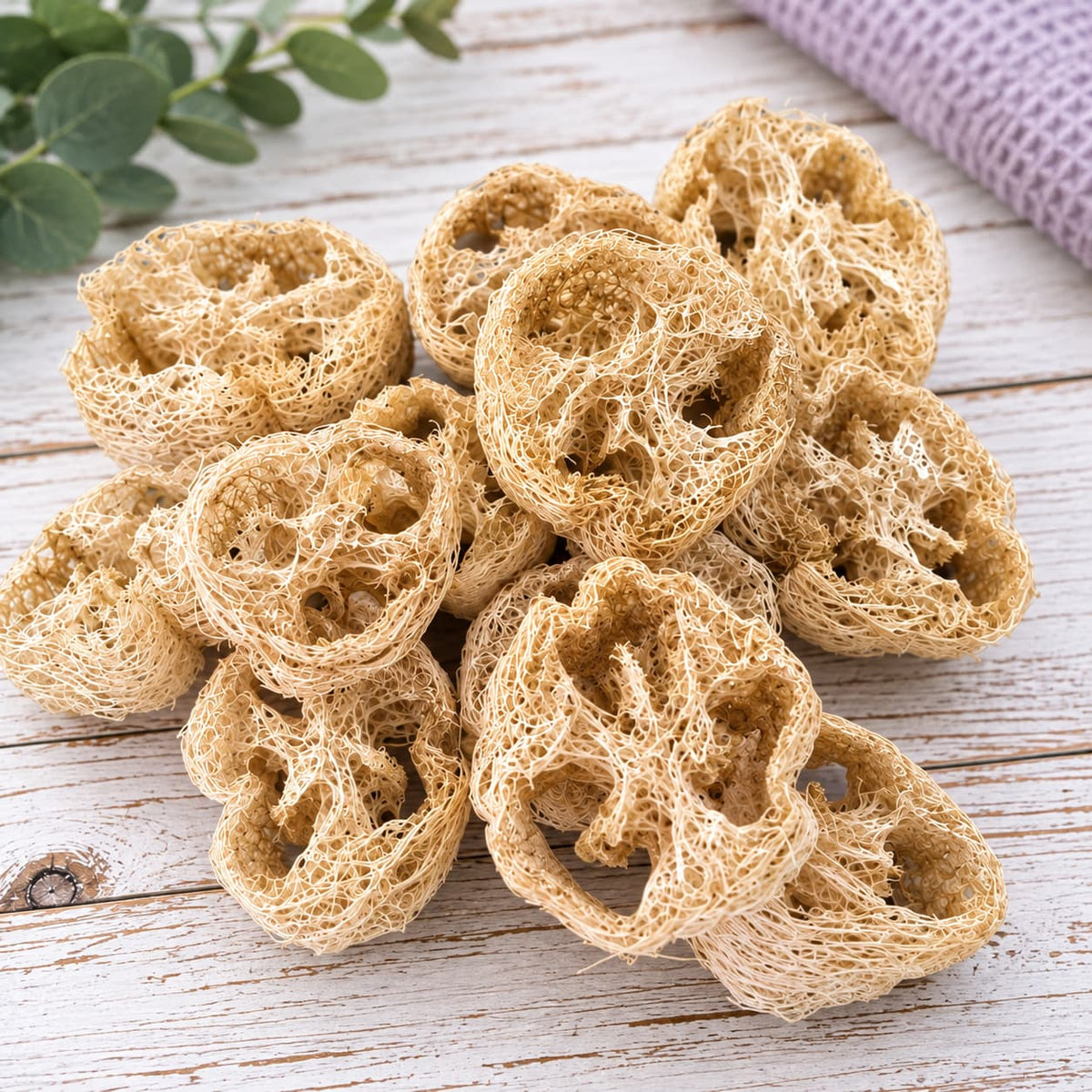 Natural Loofah for Soap, Scrubs &amp; DIY Projects